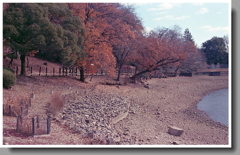 減水した冬のボート池