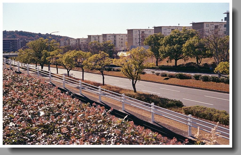 高蔵寺団地群の大通り
