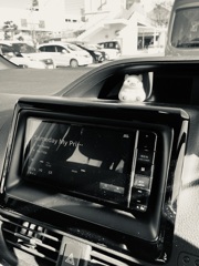 Someday My Prince ｗill come