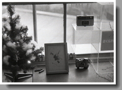 イエネコさんの窓辺