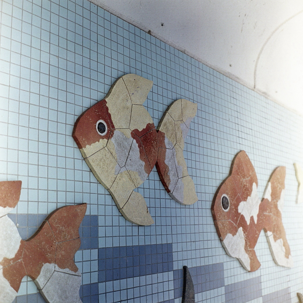 金魚のタイル