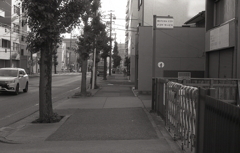 何気ない平凡なショットだけど…　