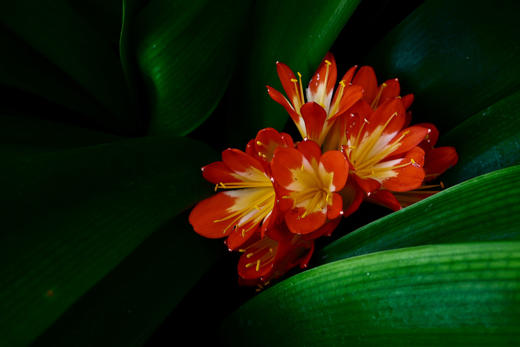 P1130271