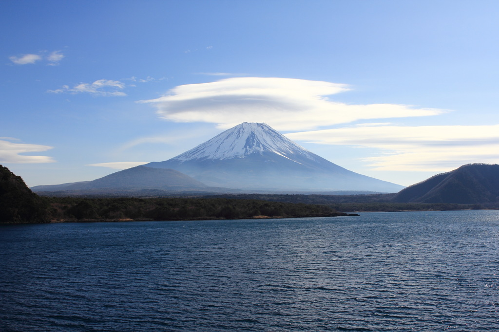 大きな傘