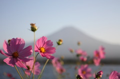 富士山を背に