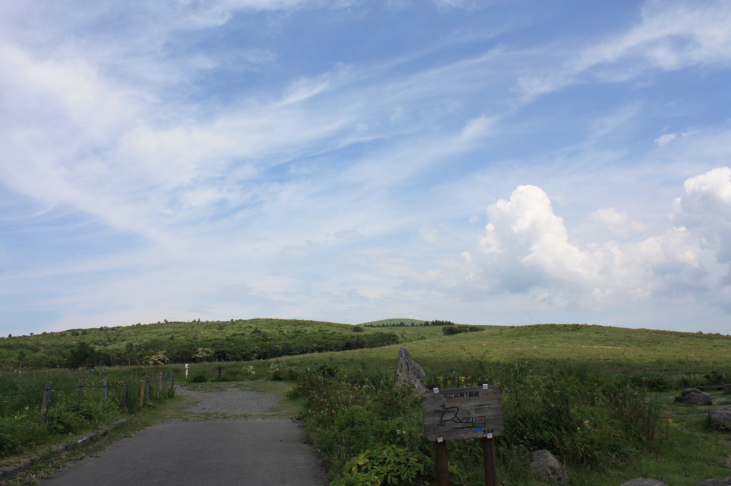夏