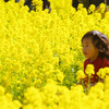 花の妖精