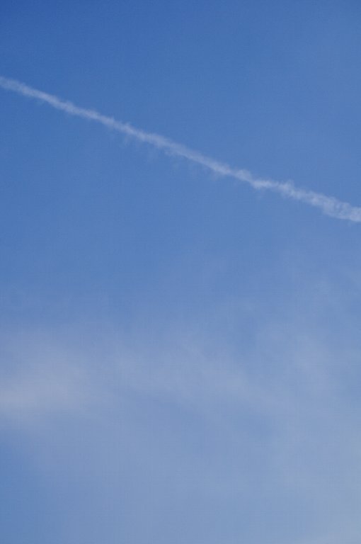 100131_横浜散策29