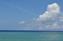 奄美の海No.15