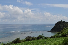 奄美の海No.19