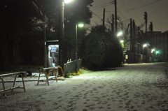 100201_散積雪14