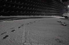 100201_散積雪04
