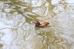 オモチャじゃないよ