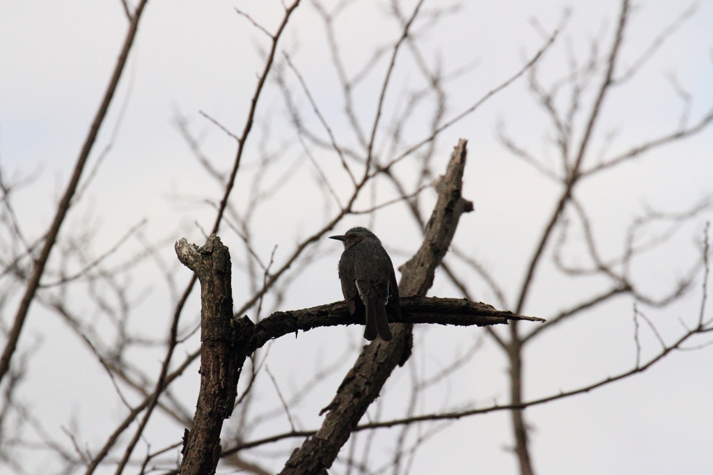 もう少しこっちをみて