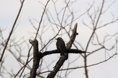 もう少しこっちをみて