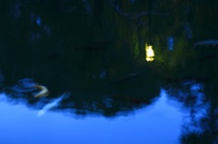 夜更けの池