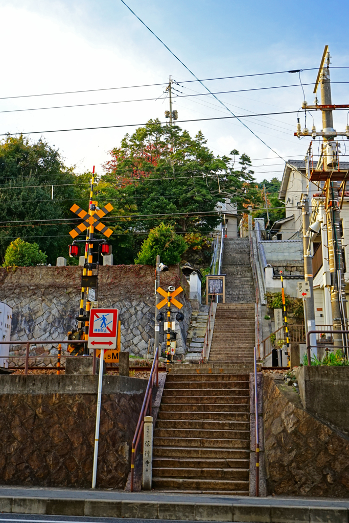 DSC07900