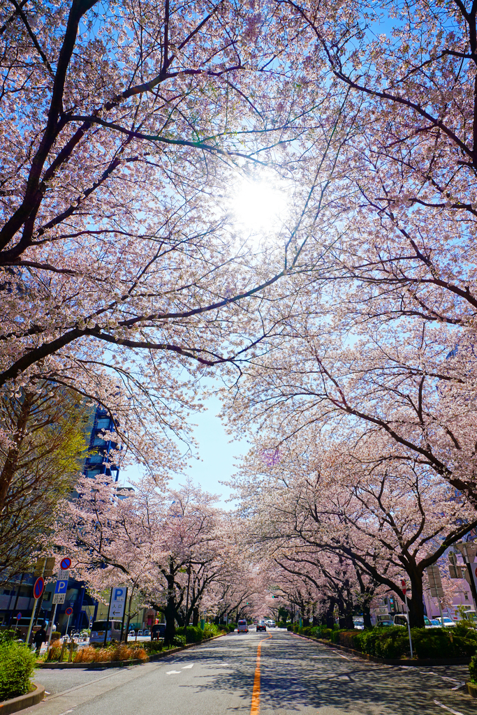 ４月７日まで待てない。