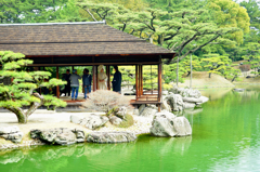 早春の栗林公園にて