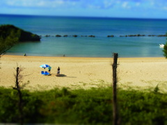 夏海