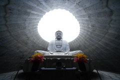 頭大仏　広角映え！