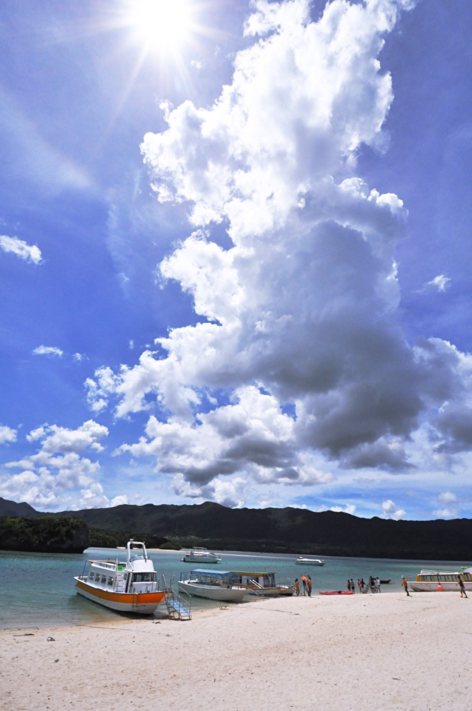 象の水浴び
