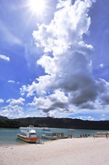 象の水浴び