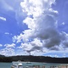 象の水浴び