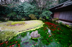 早春の栗林公園にて　吹上