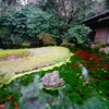 早春の栗林公園にて　吹上