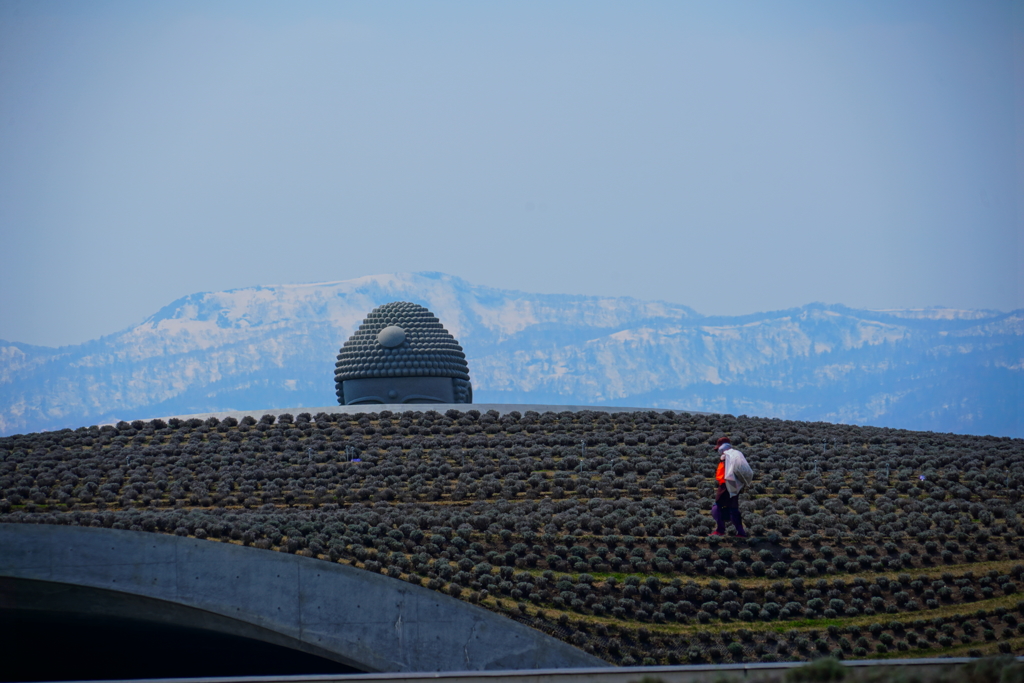 頭大仏　時期がね。。。