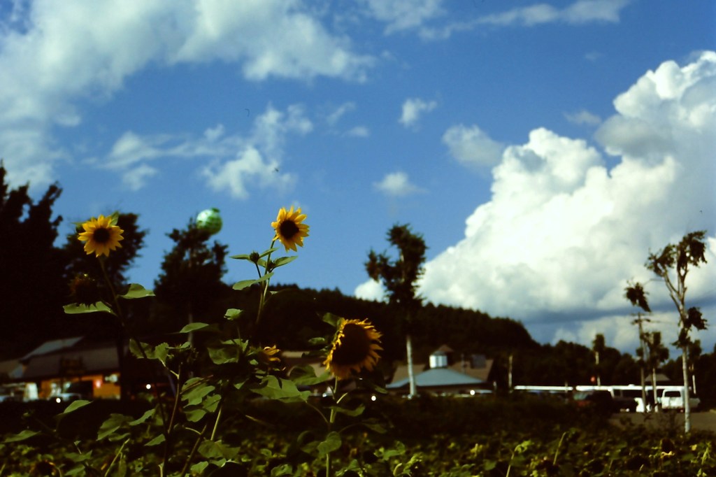 夏空