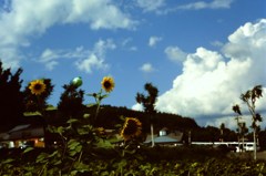 夏空