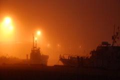 010濃霧の中