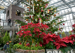 クリスマスツリーとポインセチア