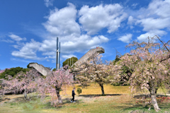 枝垂れ桜モニュメント　