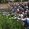 撮影会って大変だ