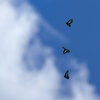 青空高く　1・2・３