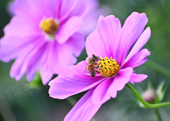 これは美味い これは美味い