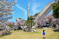 桜日和　希望の塔　