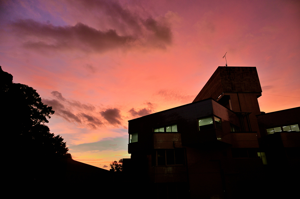 幻想的な夕光