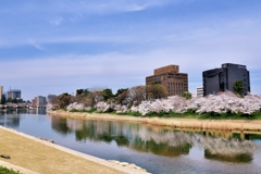 乙川の春