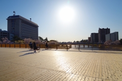 桜城橋（さくらのしろばし）板張りの広場