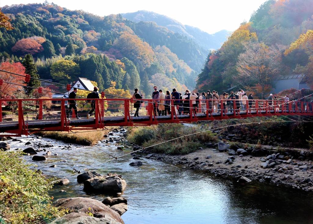 朝の香嵐橋　香嵐渓上流部