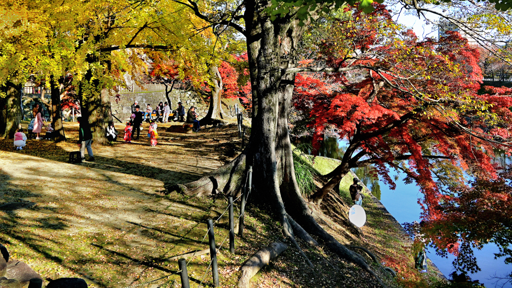 岡崎城　お堀端の秋　そのⅡ