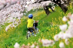 春色自転車が行く