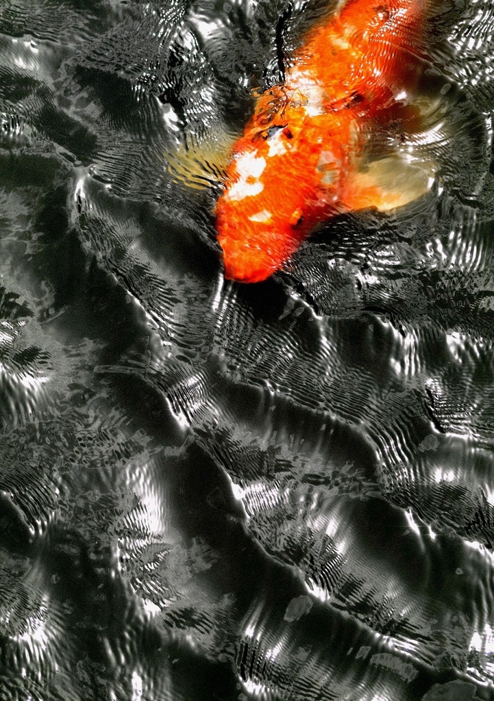 縞の波
