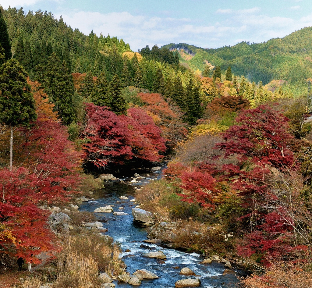 名倉川の秋