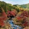 名倉川の秋