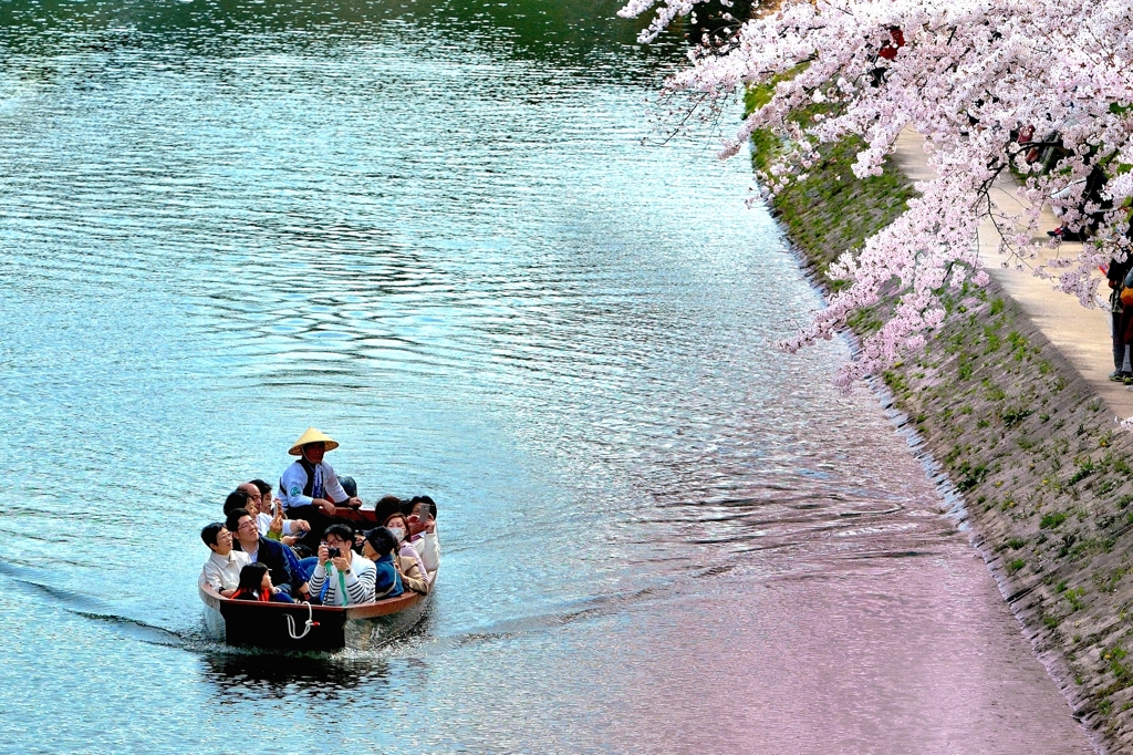 花見船が行く